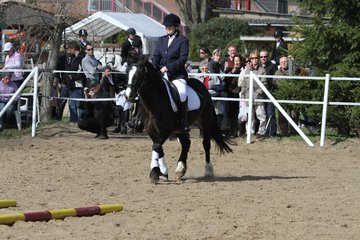 Bild 1078 - WBO-Turnier am 9.4.11